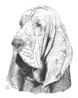 Bloodhound Print