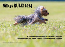 Load image into Gallery viewer, Silkys Rule! 2024 Calendar