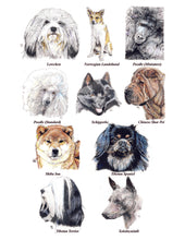 Load image into Gallery viewer, Color Me Canine (Non Sporting Group)