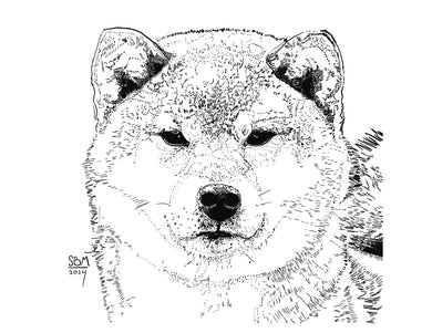 Shibu Inu Print