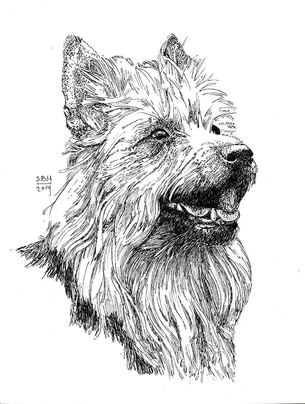 Australian Terrier Print