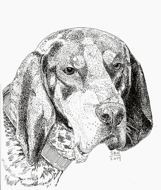 Blue Tick Coonhound Cards 10 Cards