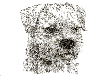 Border Terrier Cards 10 Cards