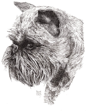 Brussels Griffon Cards 10 Cards