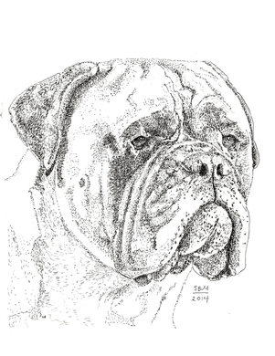 Bullmastiff Print