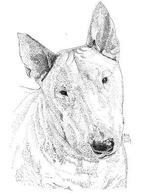 Bull Terrier Print