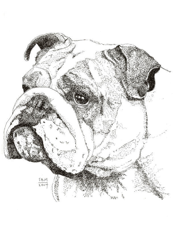 Bulldog Print