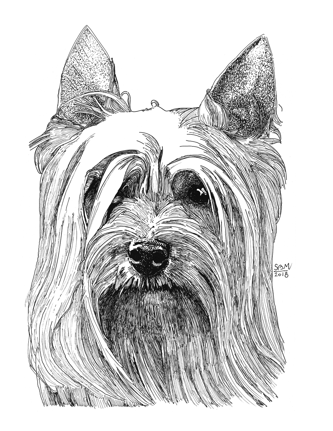 Silky Terrier Buzzy 10 Cards With Envelopes