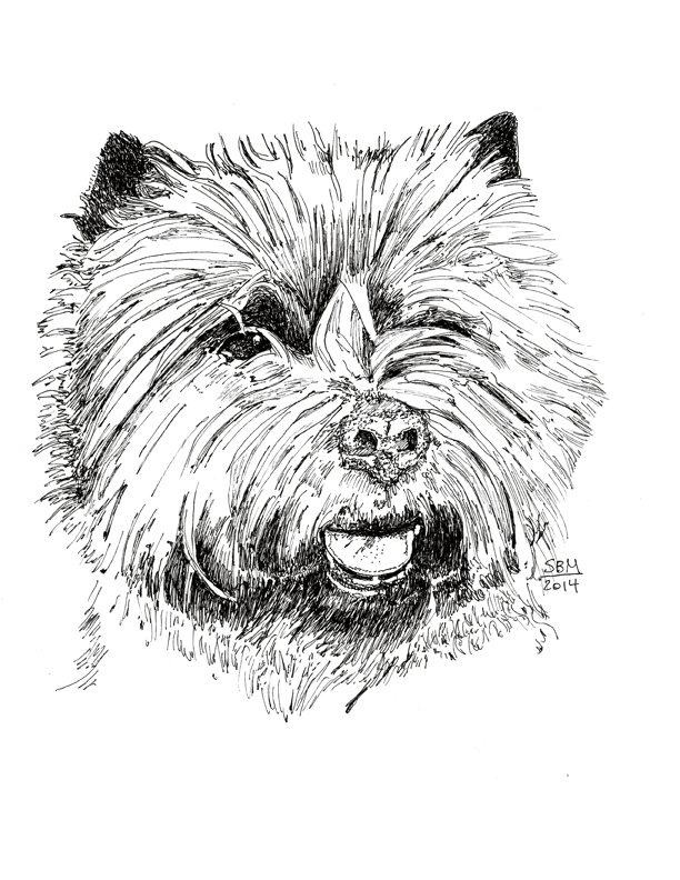 Cairn Terrier Print