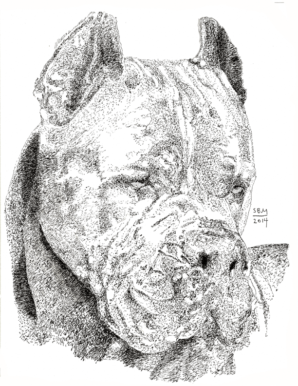 Cane Corso Print