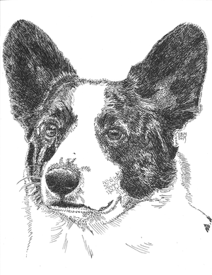 Welsh Corgi Cardigan Print