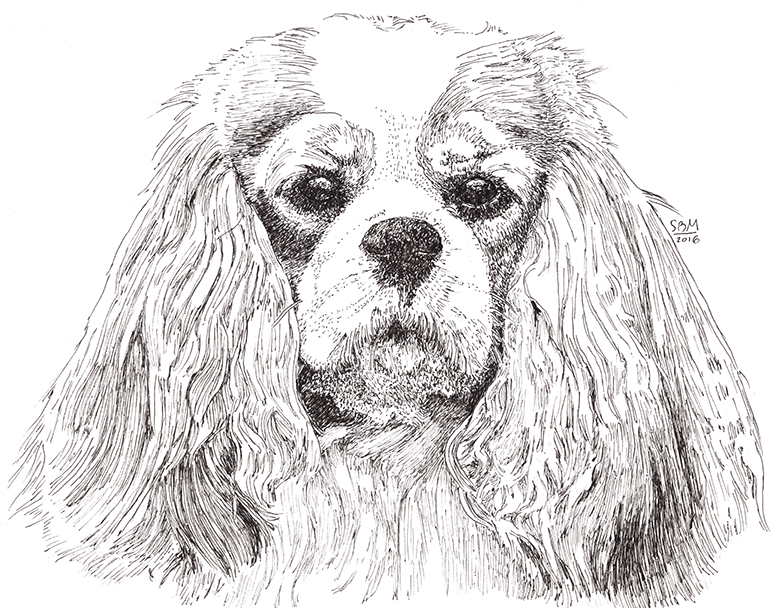 Cavalier King Charles Spaniel Cards 10 Cards