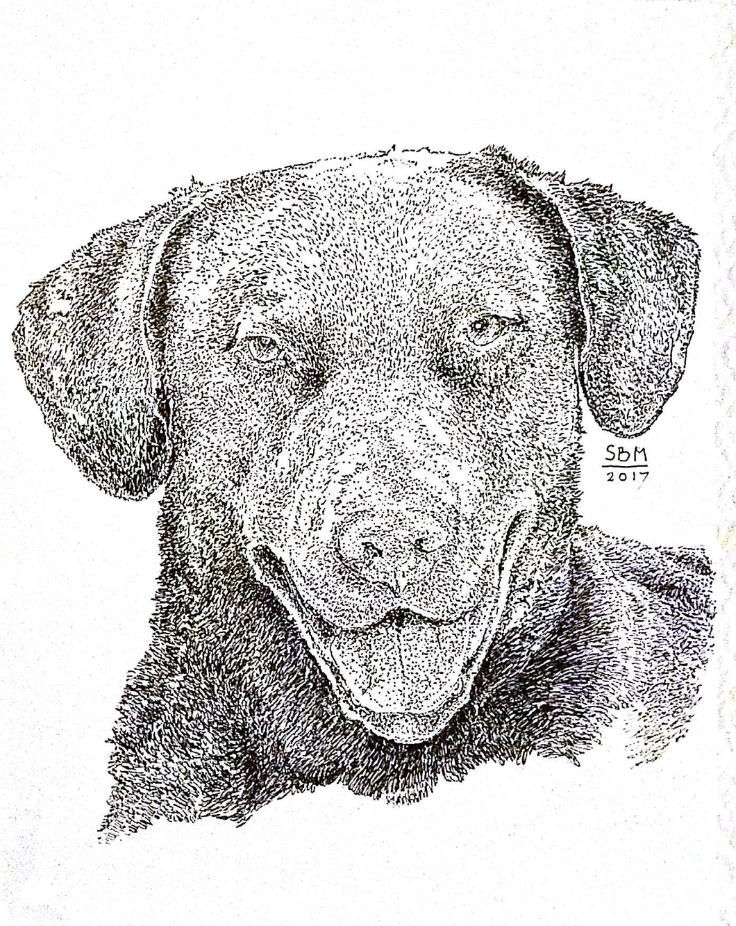 Chesapeake Bay Retriever Print