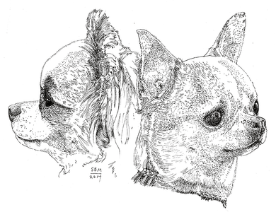 Chihuahua Print