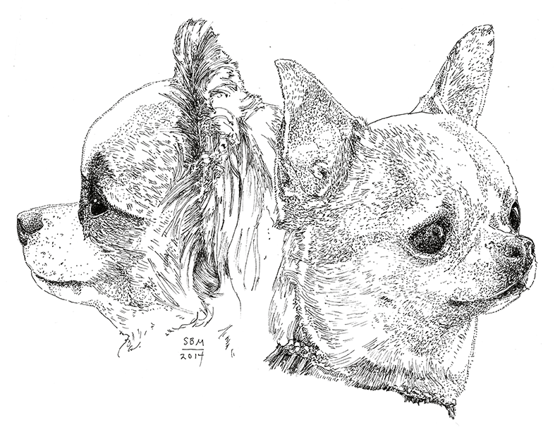 Chihuahua Print