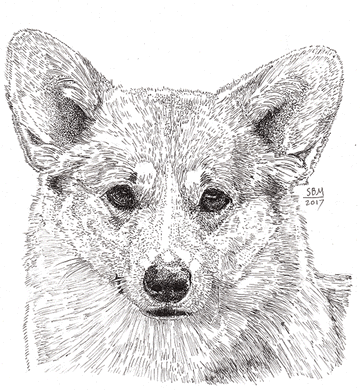 Welsh Corgi Pembroke Print