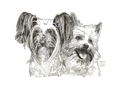 Chinese Crested Cards 10 Cards