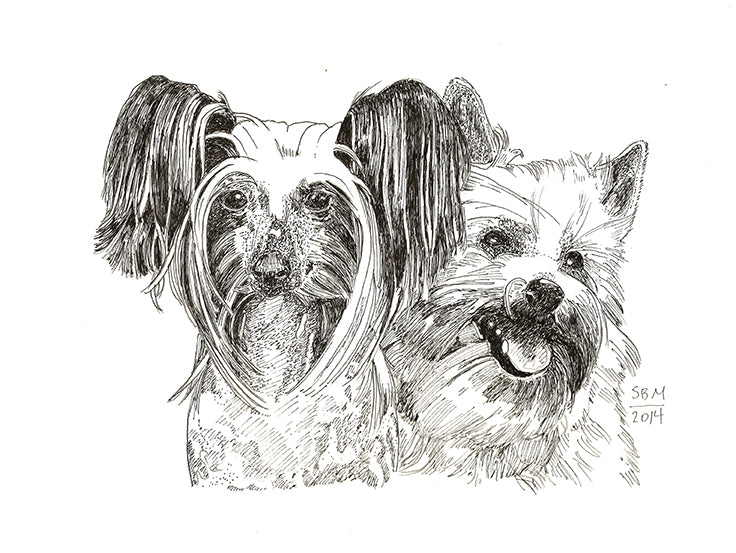 Chinese Crested Cards 10 Cards