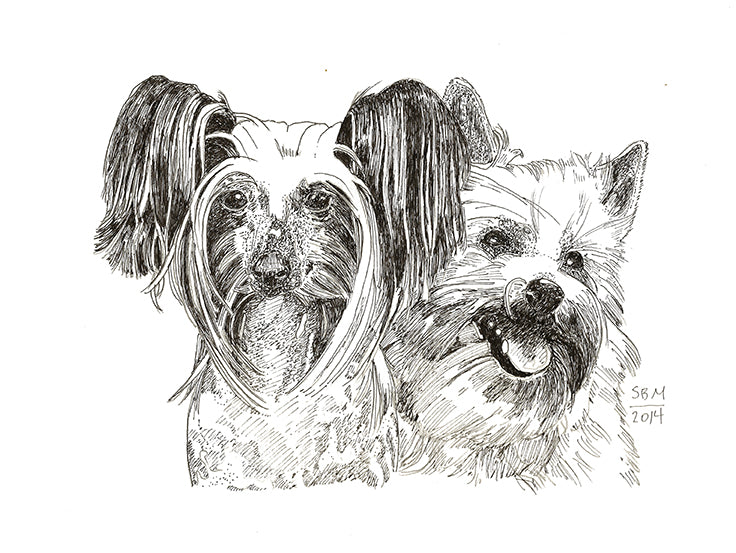 Chinese Crested Print