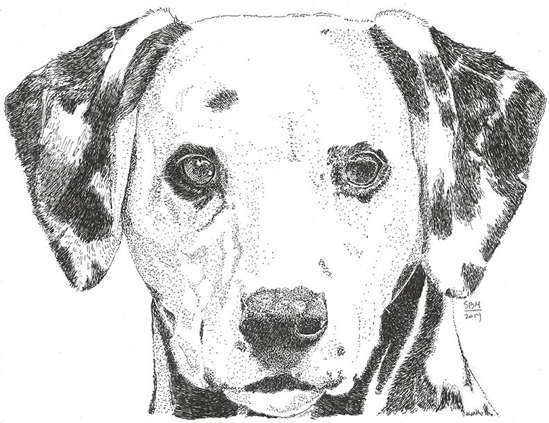 Dalmation Print