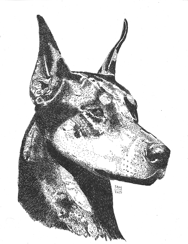 Doberman Pinscher Print