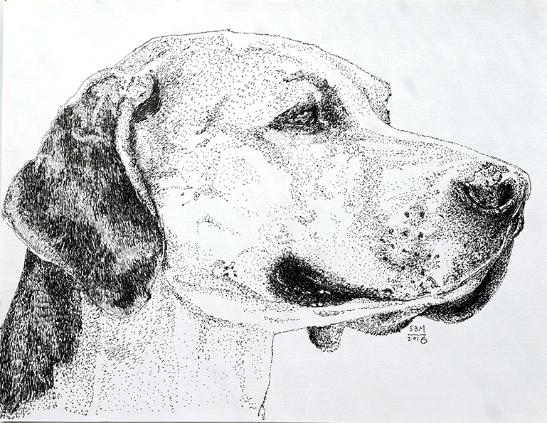 English Foxhound Print