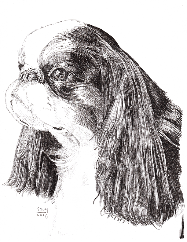 English Toy Spaniel Cards 10 Cards