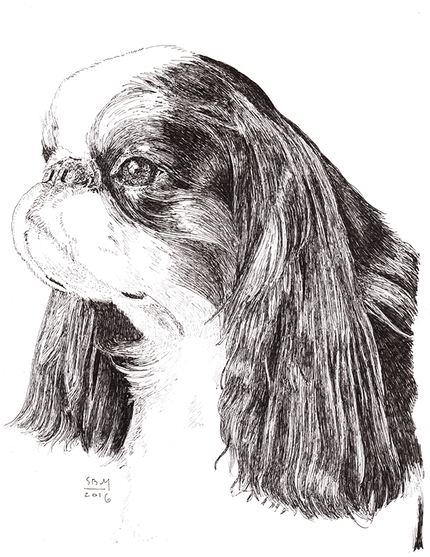 English Toy Spaniel Print