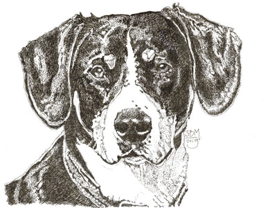 Entlebucher Mountain Dog Print