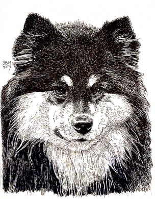 Finnish Lapphund Cards 10 Cards