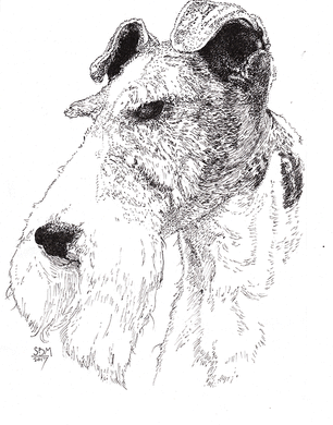 Fox Terrier Wire Cards 10 Cards