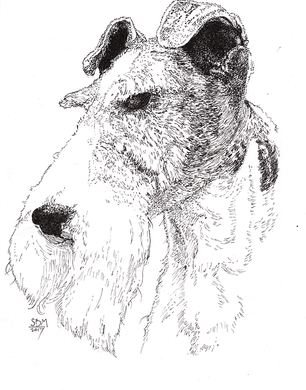 Fox Terrier Wire Print