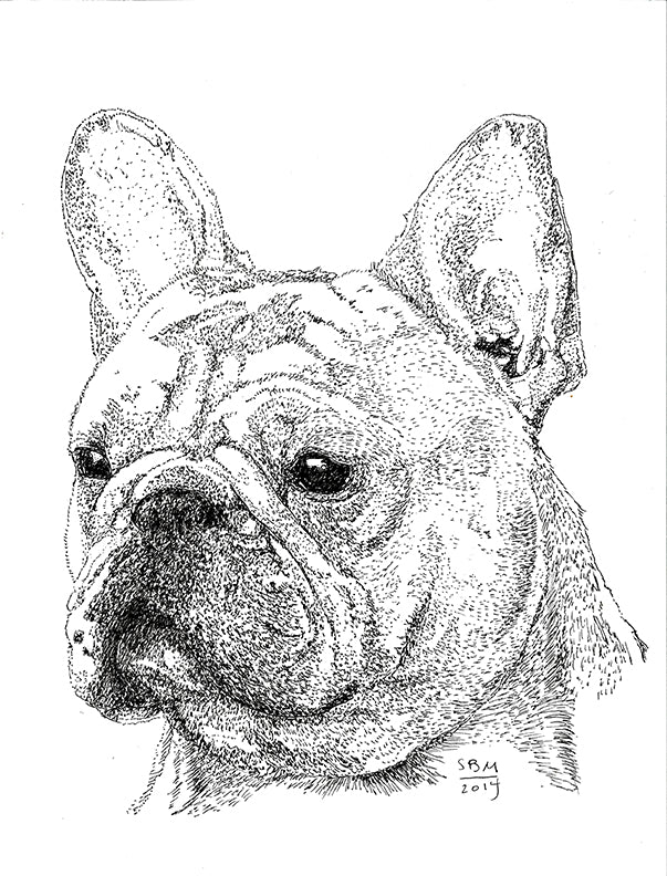 French Bulldog 10 cards