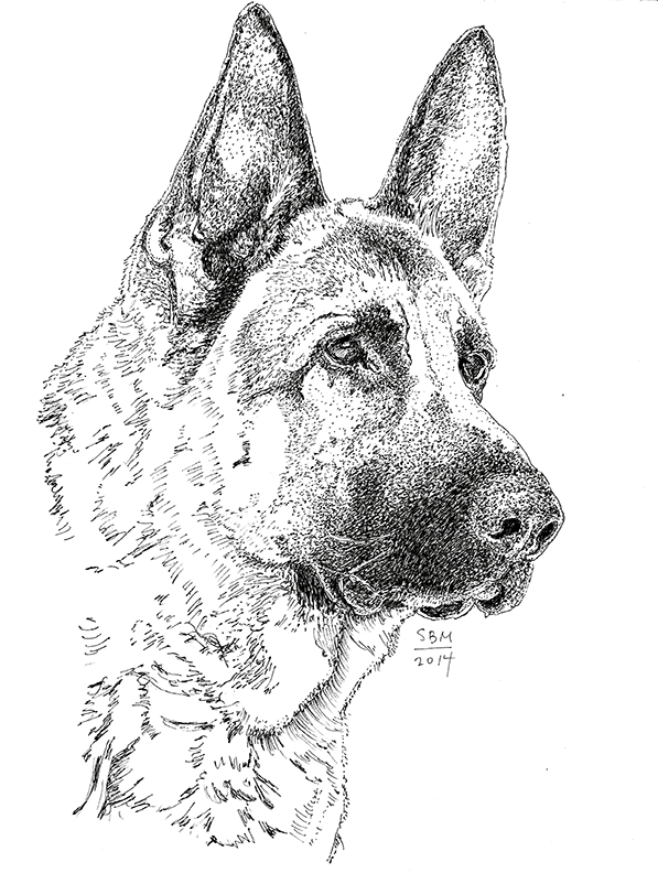 German Shepherd Print