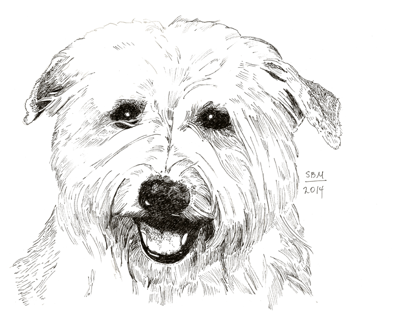Glen of Imaal Terrier Cards 10 Cards