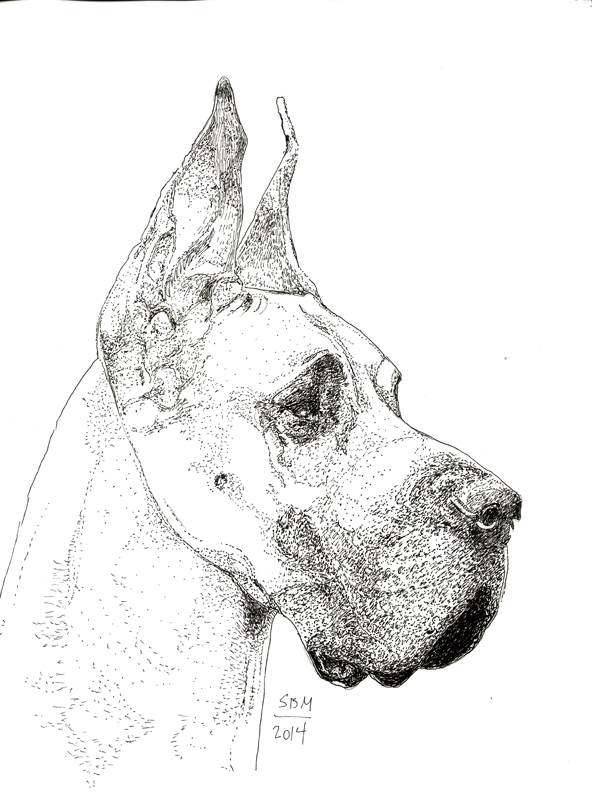 Great Dane Print