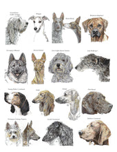 Load image into Gallery viewer, Color Me Canine (Hound Group)