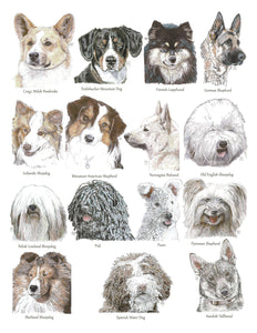 Color Me Canine (Herding Group)
