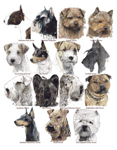Color Me Canine (Terrier Group)
