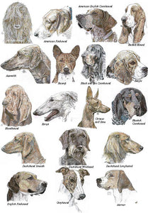 Color Me Canine (Hound Group)