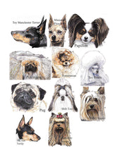 Load image into Gallery viewer, Color Me Canine (Toy Group)