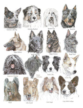 Load image into Gallery viewer, Color Me Canine (Herding Group)