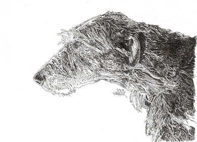 Irish Wolfhound Print