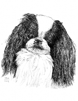 Japanese Chin Print