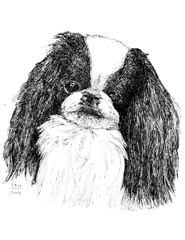 Japanese Chin Cards 10 Cards