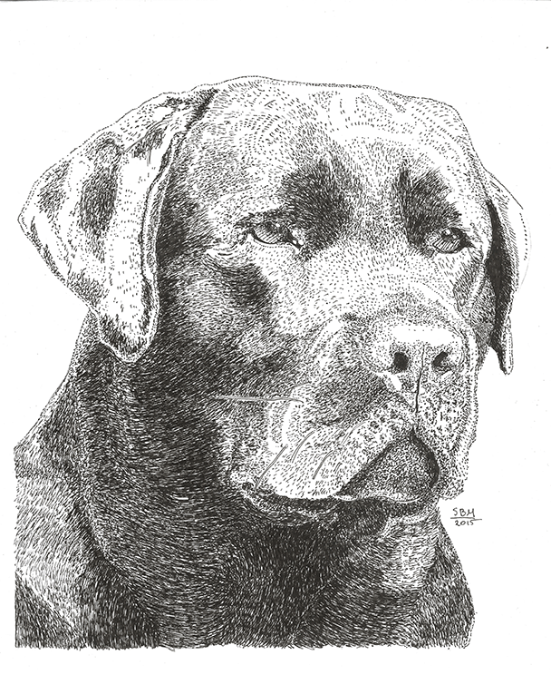 Labrador Retriever Print