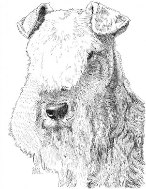 Lakeland Terrier Print