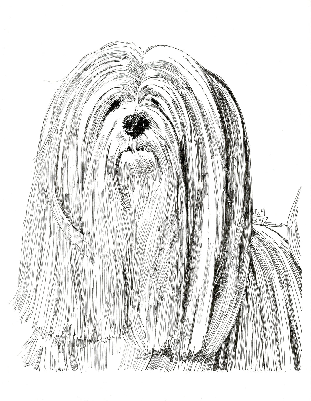 Lhasa Apso Limited Edition Print