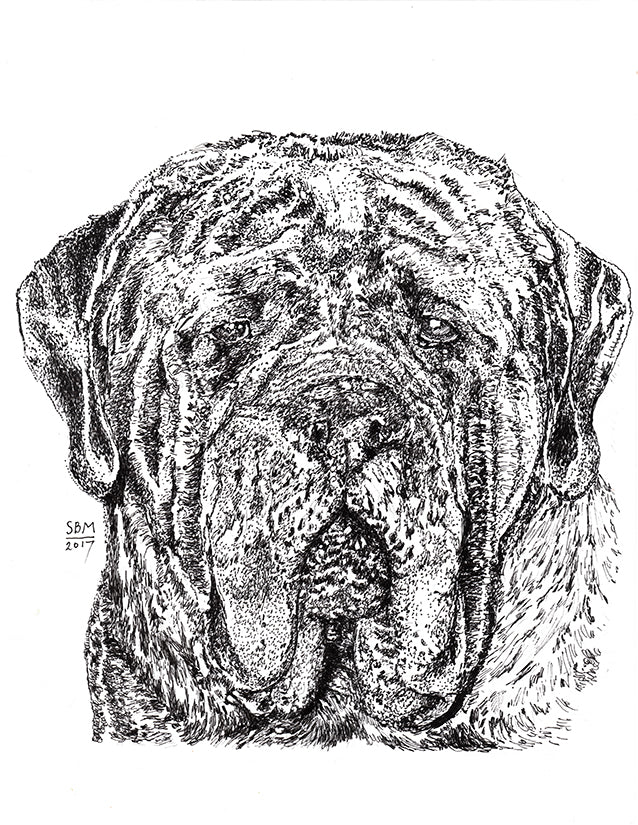 Mastiff Print