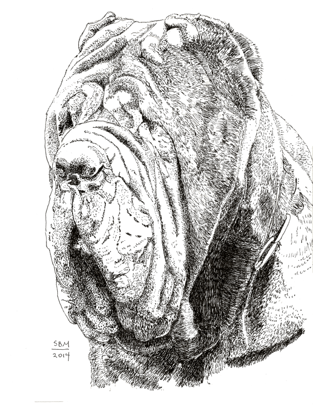 Neopolitan Mastiff Cards 10 Cards